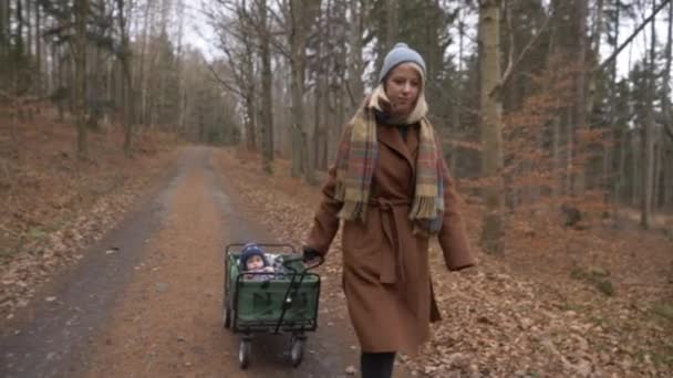 Mor Bär Ett Barn Barnvagn Genom Skogen — Stockvideo