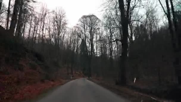 Vue Depuis Siège Conducteur Sur Une Route Montagne Sudetes — Video