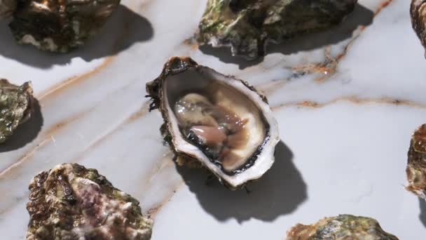 Video Fresh Oyster Marble Background — Stock video