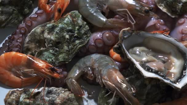 Austern Kraken Und Garnelen Auf Einem Tisch — Stockvideo