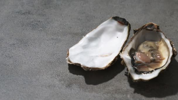 Video Von Frischen Austern Auf Marmorhintergrund — Stockvideo