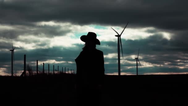 Silhouette Stil Frau Mit Hut Und Mantel Frühling Landschaft — Stockvideo