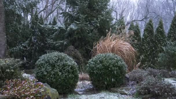 Sneeuw Valt Struiken Bomen Tuin — Stockvideo