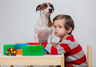 Küçük çocuk bir köpekle masada oynuyor. 