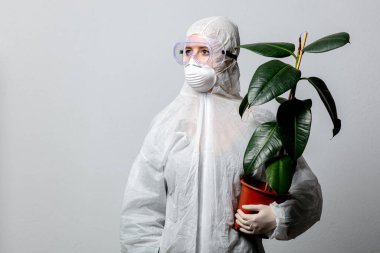 Koruyucu elbiseli doktor incir ağacı tutuyor.