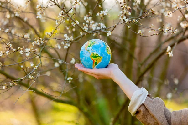 Vrouw Hand Houdt Aarde Globe Bloeiende Kers Tuin Zonsondergang Tijd — Stockfoto