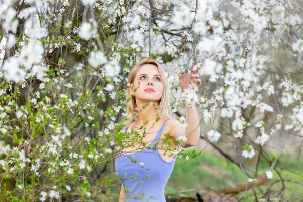 Schöne Blonde Frau Blauem Kleid Neben Blühendem Baum Frühling — Stockfoto