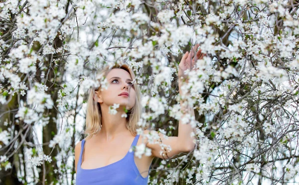 Mooie Blonde Vrouw Blauwe Jurk Naast Bloeiende Boom Het Voorjaar — Stockfoto