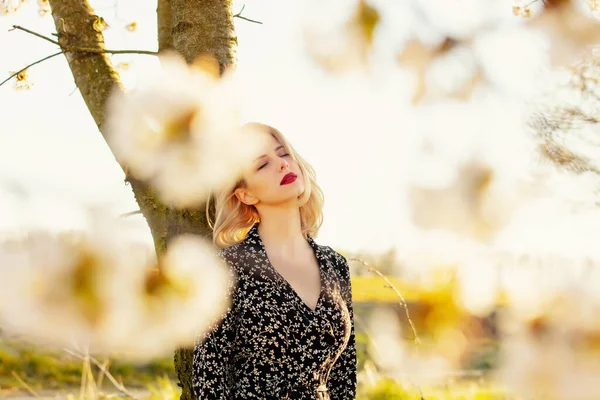 Blonde Girl Blooming Tree Countryside Sunset — Stock Photo, Image