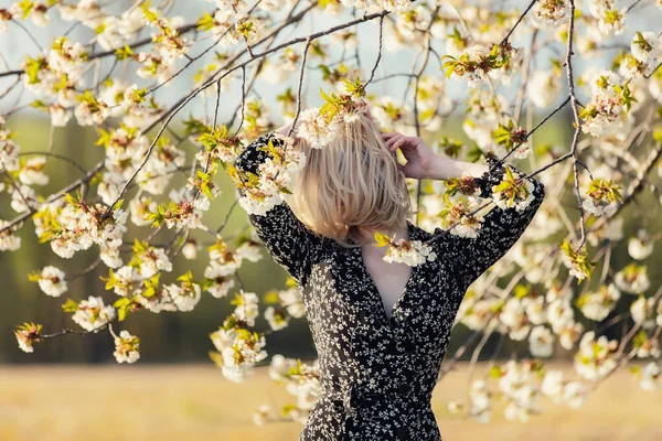 Blond Meisje Buurt Bloeiende Boom Het Platteland Bij Zonsondergang — Stockfoto