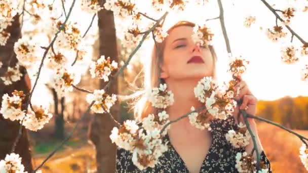 Blonde Woman Blooming Tree Spring Time — Stock Video