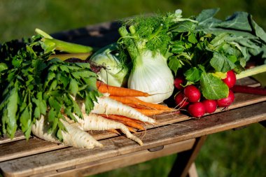 İlkbaharda kırsalda bir masada sebzeler 