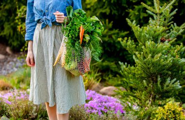 Woman holds a String bag  with vegetables in garden clipart