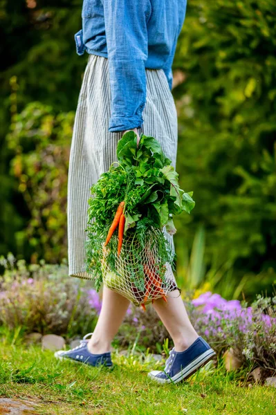 Mulher Segura Saco Cordas Com Legumes Jardim — Fotografia de Stock