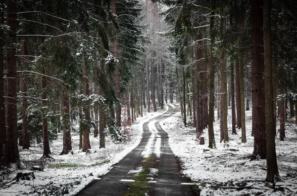 Strada Campagna Nella Foresta Neve Polonia Sudetes — Foto Stock