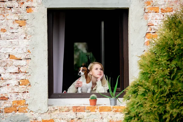 Frau Mit Hund Sitzt Während Quarantäne Fenster — Stockfoto