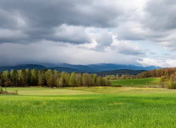 Vue Sur Forêt Dans Les Montagnes Des Sudètes Pologne Printemps — Photo