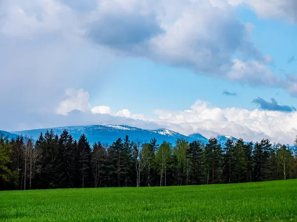 Vue Sur Forêt Dans Les Montagnes Des Sudètes Pologne Printemps — Photo