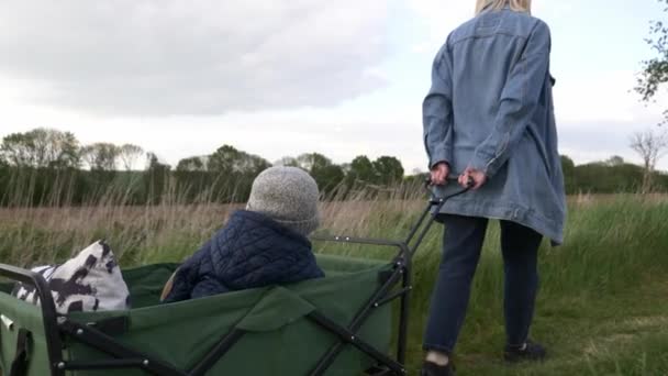 Mor Tar Sin Son Barnvagn Genom Ett Landsbygdsområde Promenad Efter — Stockvideo