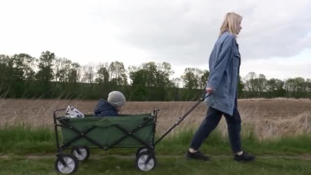 Mor Tar Sin Son Barnvagn Genom Ett Landsbygdsområde Promenad Efter — Stockvideo