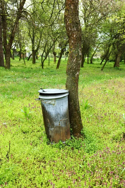 Lata de lixo no parque — Fotografia de Stock