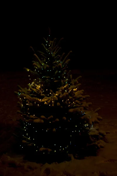クリスマス ツリー雪 — ストック写真
