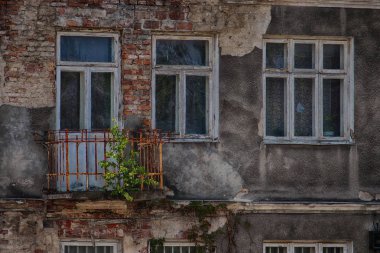 eski yıkık ev ve küçük bir ağaç windows üzerinde büyüyen