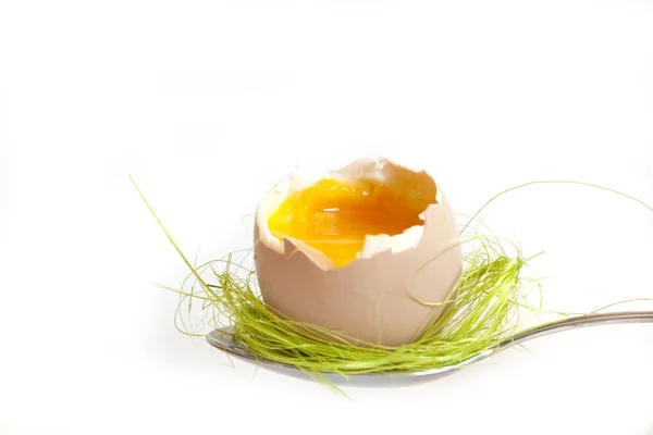 Paskalya yortusu yumurta beyaz zemin üzerine çatal üzerinde tutulması — Stok fotoğraf