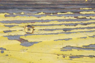 eski hafif ahşap Vintage arka plan