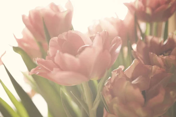 Frühling Bunte Tulpen Vase Warme Farben — Stockfoto