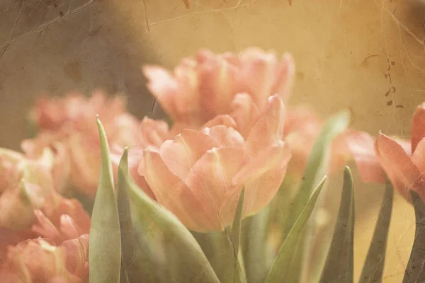 Spring Colorful Tulips Vase Warm Colors — Stock Photo, Image