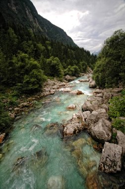 Slovenya 'da zümrüt yeşili Soca nehri, Alp dağı nehri