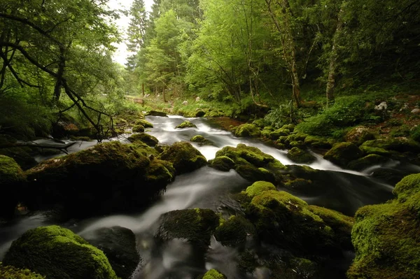 Rio Montanha Eslovénia Paisagens Sonho Pedras Cobertas Musgo — Fotografia de Stock