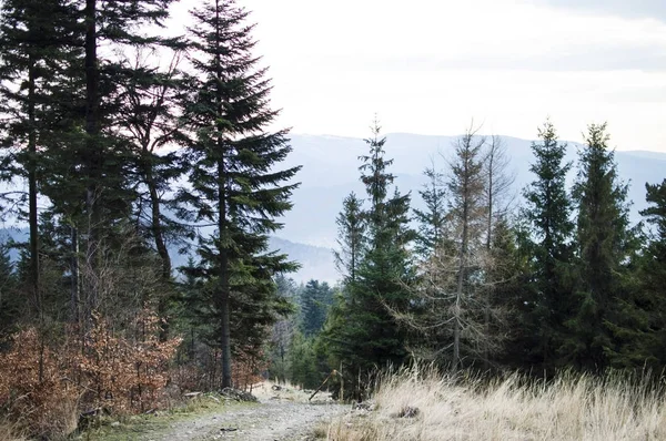 Krajina - pohled na vrcholky hor — Stock fotografie