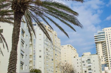 Modern yüksek binalar 