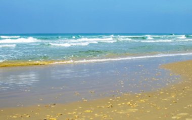 Sandy beach deniz zemin karşı 