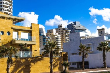 Palmiye ağaçları ile modern binalar 