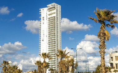 Palmiye ağaçları ile modern binalar 