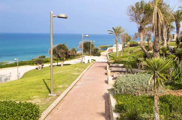 Park met palmbomen tegen de achtergrond van de blauwe zee — Stockfoto