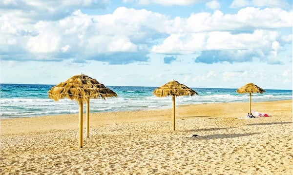 Decoratieve parasols gemaakt van palm takken — Stockfoto