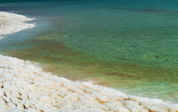 Dode Zee kust met helder water — Stockfoto