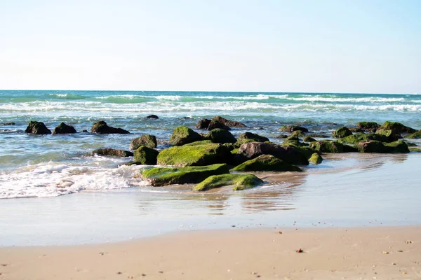 Piedras con musgo verde en la orilla del mar —  Fotos de Stock