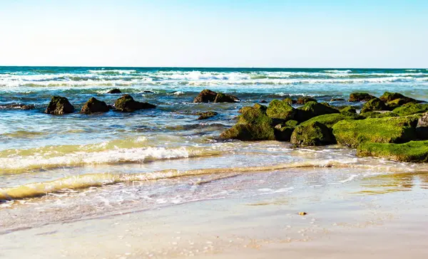 Stenen met groene mos op de kust — Stockfoto