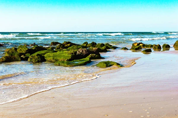 Stenen met groene mos op de kust — Stockfoto