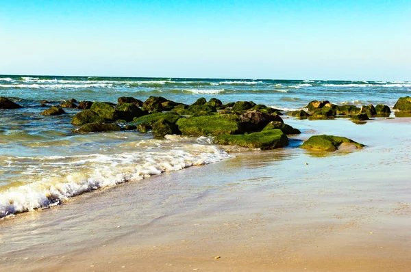 Kameny s zeleným mechem na břehu moře — Stock fotografie