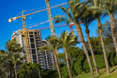 Bir arka plan ve palmiye ağaçlarının Vinçler