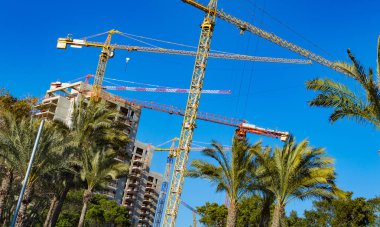 Bir arka plan ve palmiye ağaçlarının Vinçler