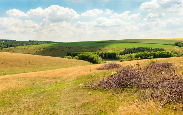 Paisaje de campo con campos — Foto de Stock