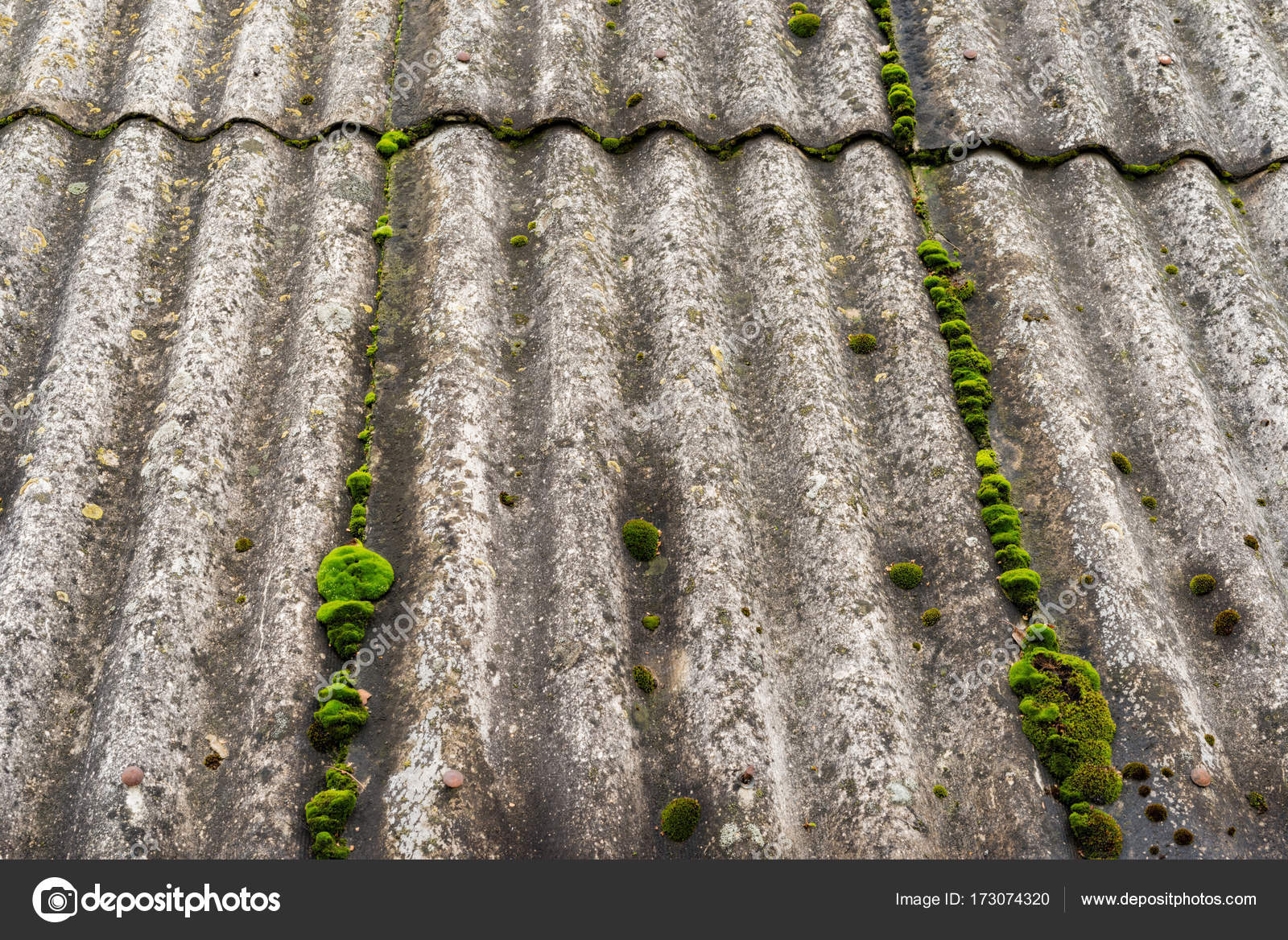 Горный лен в составе шифера