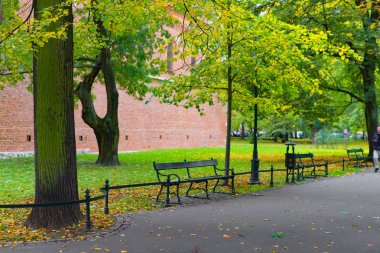 Yeşil banklar parkta kalenin arka planı 